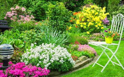 ���˵Ļ��@��(y��u)��̰���ͨ��9ƪ��