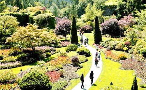 ����ʏ�Ļ��@���x���