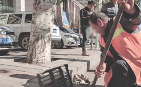 環(huán)衛(wèi)工作演講稿范文