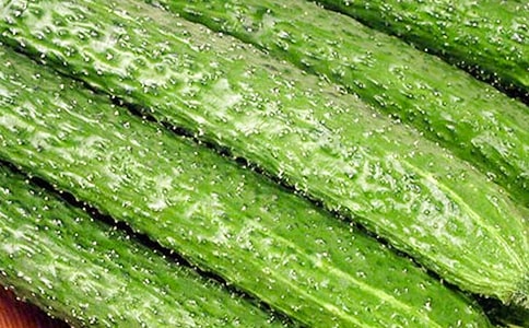 ���������S���^����С�W�x���