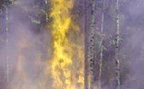 村冬春火災(zāi)防控工作方案范文(精選7篇)