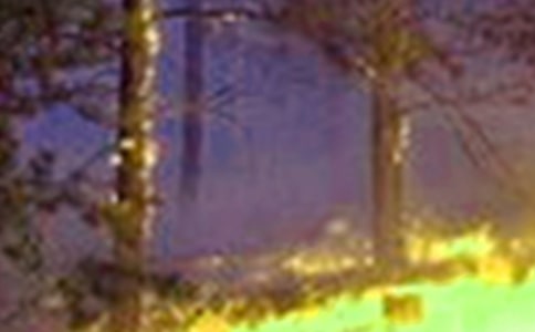 ���\��I(y��)������ķ��ع������������x5ƪ��