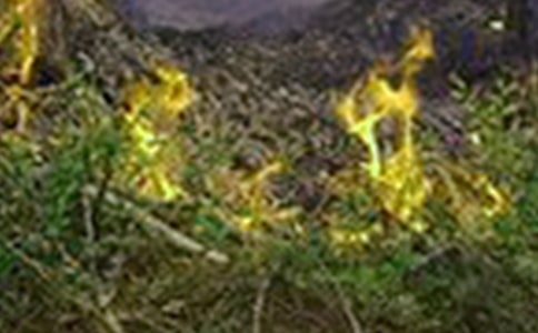 ɭ�ֻ��(z��i)���Ĺ����R�󣨾��x6ƪ��