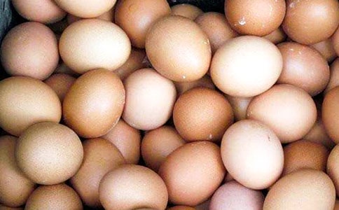 ���P(gu��n)�u��վ�����˵�С��ƌW(xu��)�̰�