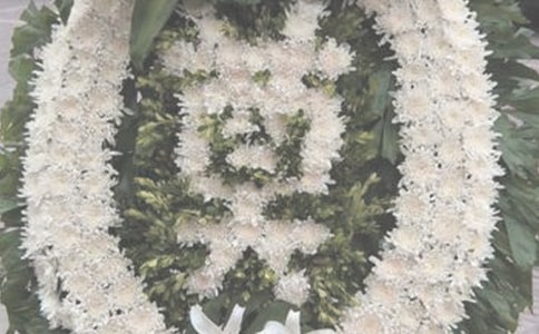 �����H�˵�Ԓ(5ƪ)