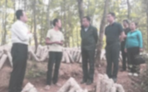 ��W(xu��)�o�z������Ӌ��