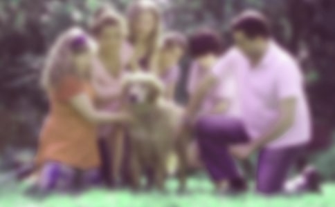 �K�ݼ�ͥ�����x���x���3ƪ