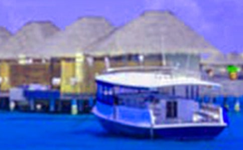 �������҄յĸ���1000��