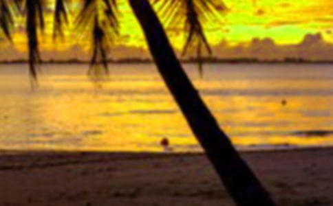 2022���ڸ���800�֣�ͨ��15ƪ��