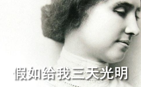 ����o������������x���400��