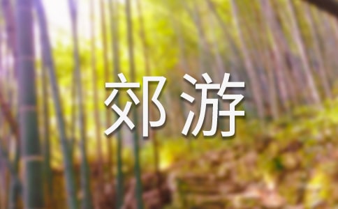 中班語言《一起去郊游》教案范文