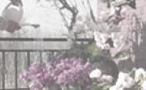 С�W(xu��)���ڄ��n�����̰���ͨ��5ƪ��