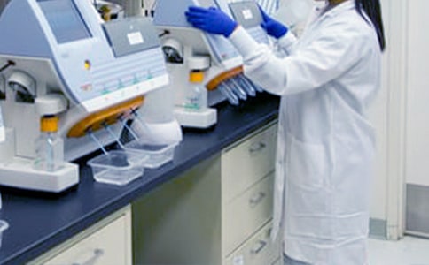 五年級數(shù)學(xué)教研組長述職報(bào)告范文(精選6篇)