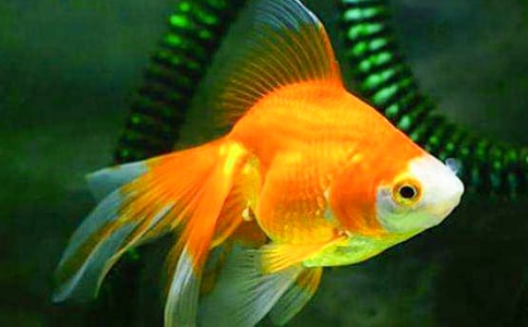 �O��ͽ��~�x��з��ģ�ͨ��6ƪ��