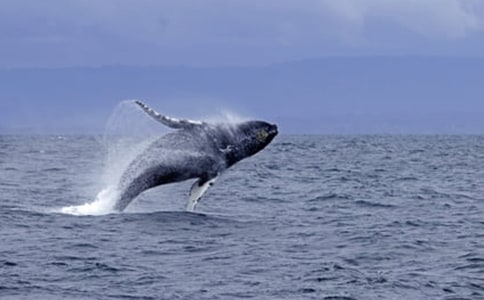 ���L�~�w������(y��u)���x���