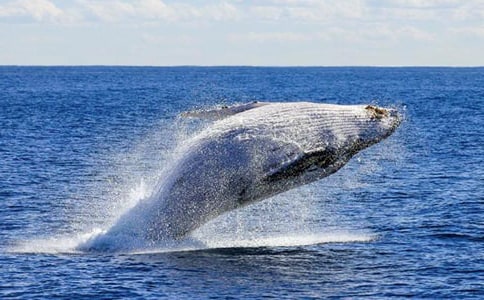 �L�~(y��)�������ķ���400��