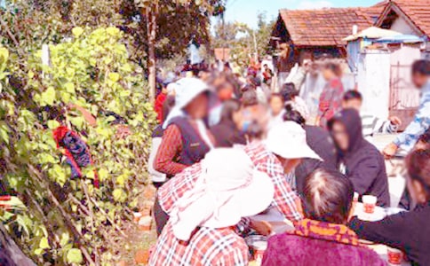 ���¾�ϯ���x���o��ͨ��14ƪ��