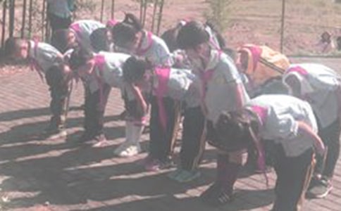 《向一棵樹(shù)鞠躬》賞析及閱讀答案