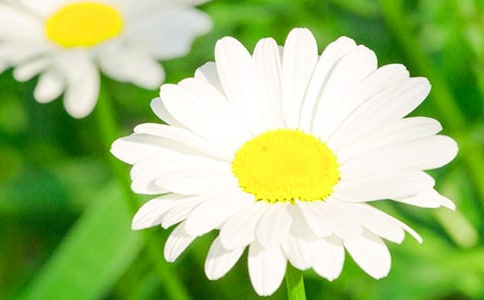 �}�ջ�ԭ�ķ��g���p��