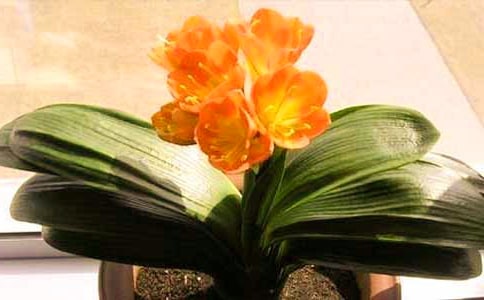 Մ?w��)������m���B(y��ng)ֳ��������