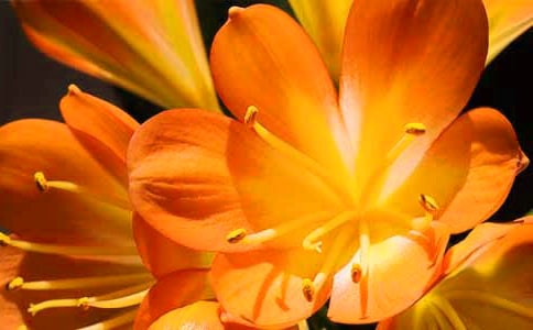 �^������m����