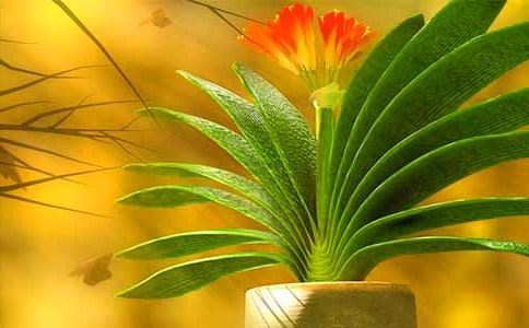 �����m�_����ӛ