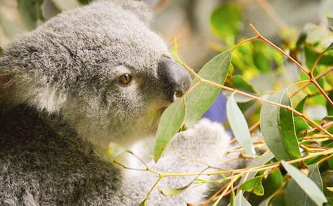 �ɐ۵Ę���ܿ������ģ����x15ƪ��