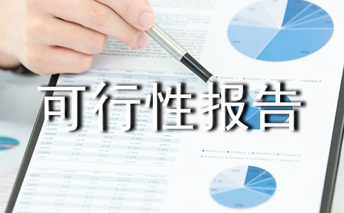 可行性報(bào)告精華15篇