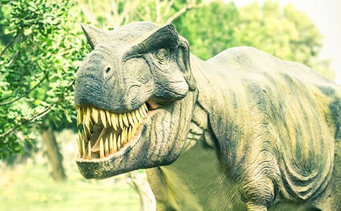 �w���{��Ŀ����x��У����x7ƪ��