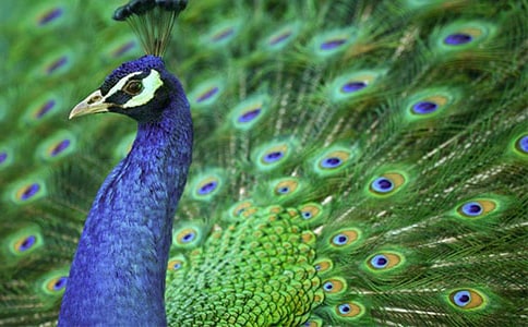 �������茑(xi��)��ȸ�ă�(y��u)������8ƪ