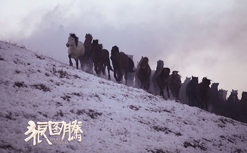 《狼圖騰》優(yōu)秀讀書筆記范文