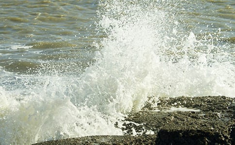 ���˻����̰�15ƪ