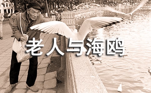 �������c���t�����x��з��ģ����x11ƪ��