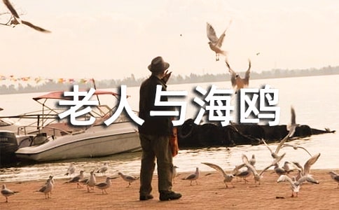 �������c���t���x���400��