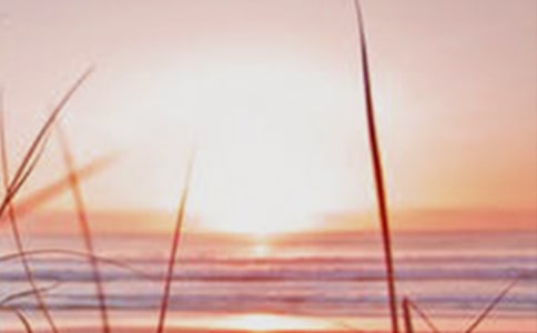 �����r��ɢ��