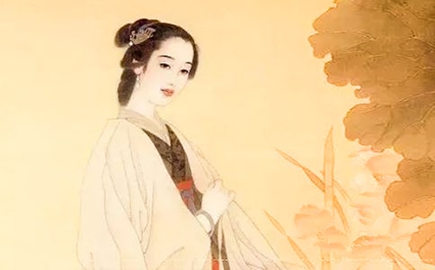 �����ա��������������۽���x�𰸼��p��