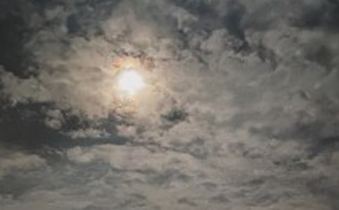 �m���賿�l(f��)���İ���210�䣩