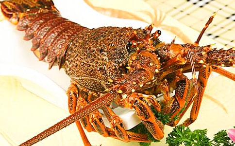 �����r����100��5ƪ