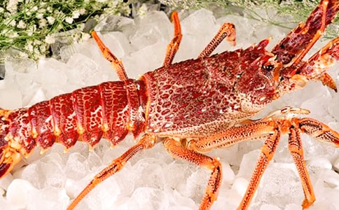 �����С���r����Ȧ�İ������x150�䣩