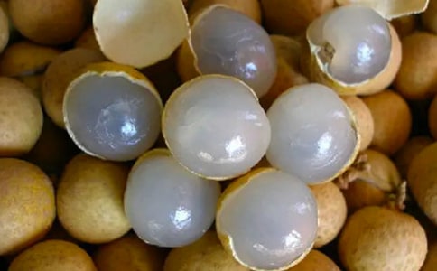 龍眼苗精選圖片大全