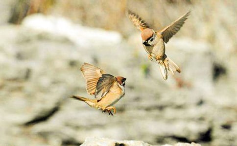 ����ȸ���ġ�ԭ����x