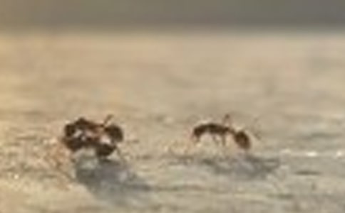 ��Λρ?zh��n)R;�����ܡ��x��з��ģ�ͨ��3ƪ��