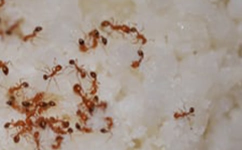 �^��Λρ��ӛ5ƪ