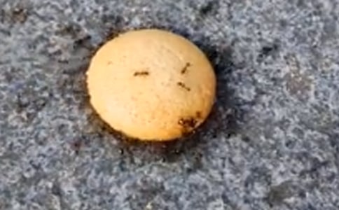 СΛρ����ӛ�質��ӽ̰�