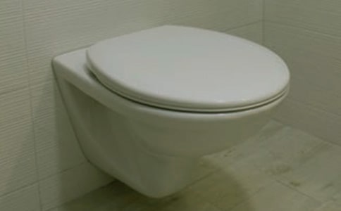 小馬桶三年級作文