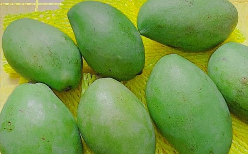 《芒果貓》讀后感范文(通用5篇)