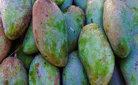 â�����ϵ�С���x��з��ģ����x17ƪ��