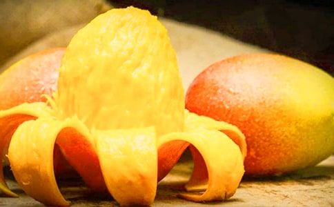 �P(gu��n)�ڡ�â�����ϵ�С�ݡ��x��з��ģ����x6ƪ��