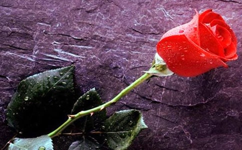 �b�h(yu��n)��Ұõ���С�W(xu��)�x���