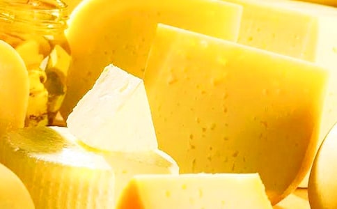 �����c���x�x���